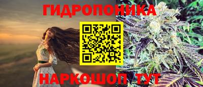спиды Кунгур