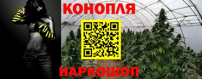 спиды Кунгур