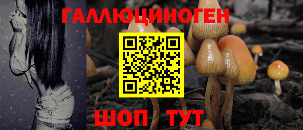 Галлюциногенные грибы мицелий Шарыпово